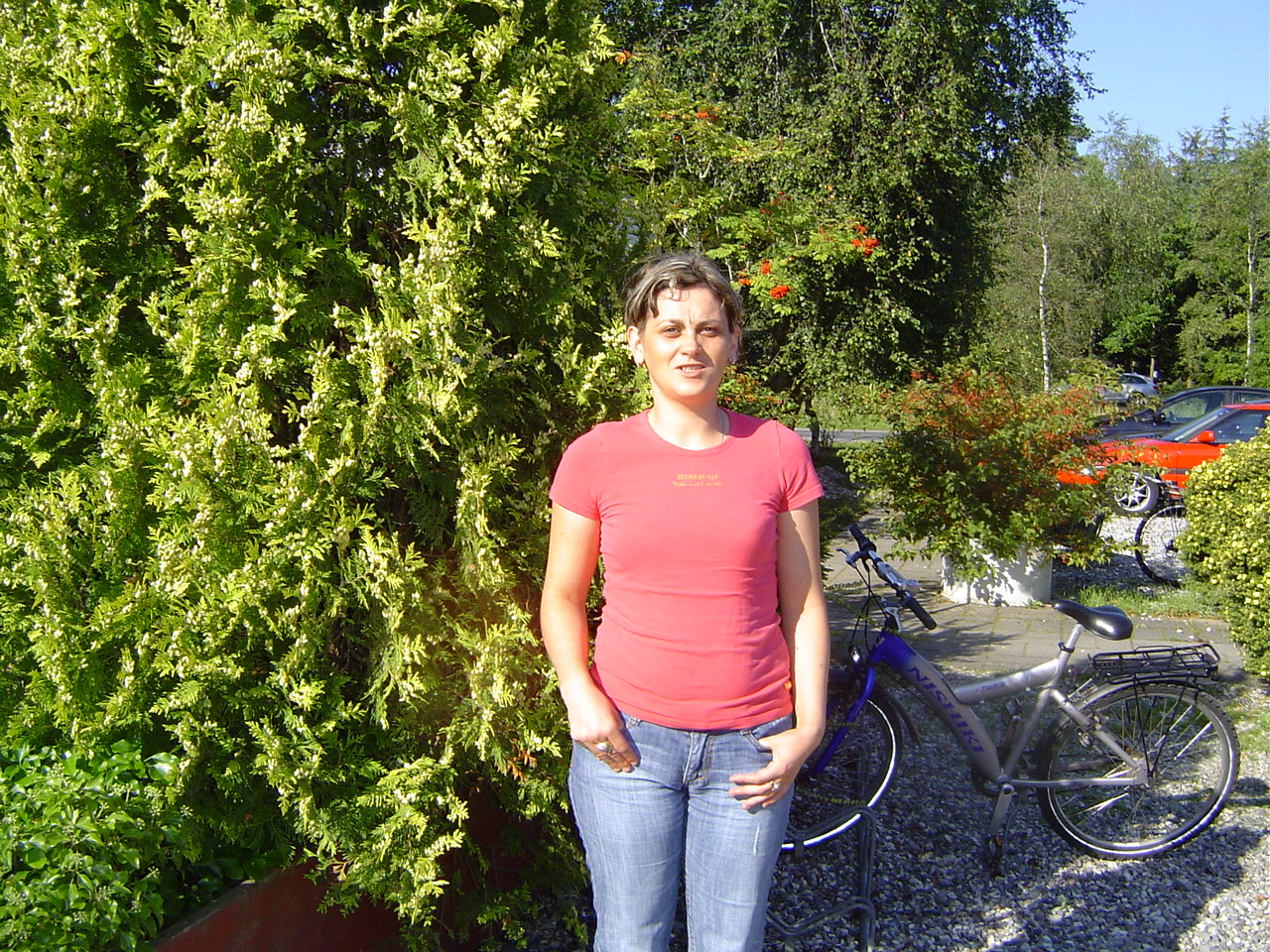 dsc02951.jpg